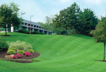 Landscaping Maintenance & Services